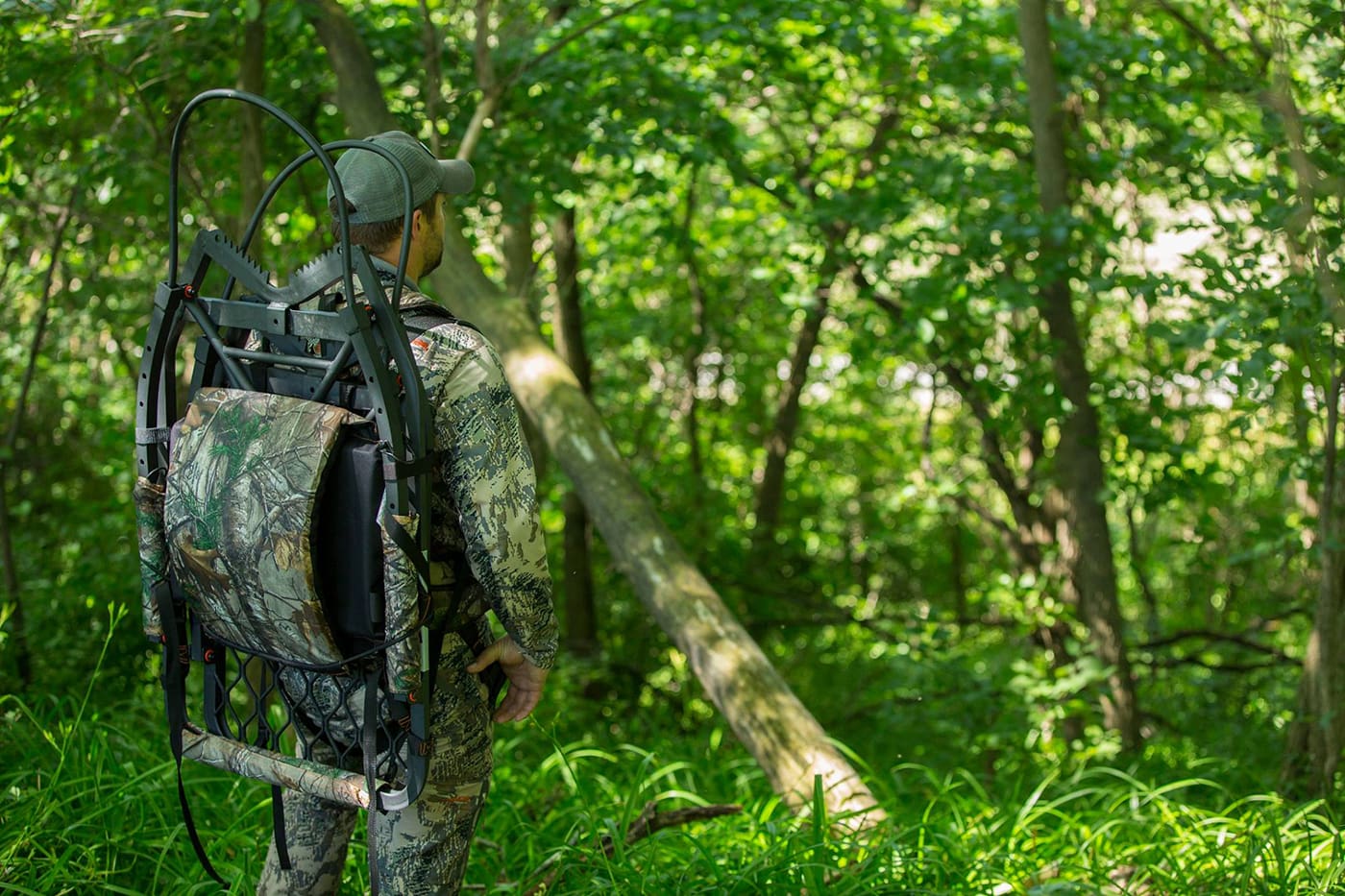 Food Plots In The Woods Are They Worth It Big Game Treestands